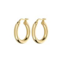 Brass Hoop Earring  plated & for woman golden Sold By Pair