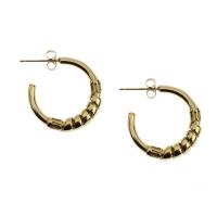 Stainless Steel Hoop Earring plated for woman Sold By Pair