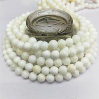 Perles naturelles de coquillage d'eau douce , coquille d'eau douce, Rond, poli, DIY, blanc, Vendu par 38 cm brin