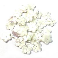 Perles en coquillage blanc naturel, coquille blanche, fleur, DIY, blanc, Vendu par PC