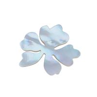Shell Cabochons, White Shell, Flower, natural, DIY, white, 36.40x31.30mm, Sold By PC