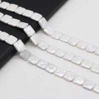 Natural White Shell Beads, Shell Pearl,  Square, DIY, white, 12mm, Sold Per Approx 38 cm Strand