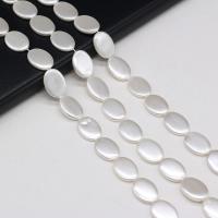 Perles en coquillage blanc naturel, Shell Pearl, ovale plat, DIY, blanc, 13x18mm, Vendu par Environ 38 cm brin