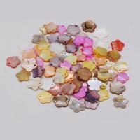 Shell Pendants, Plum Blossom, DIY, more colors for choice, 15x15mm, 10PCs/Bag, Sold By Bag