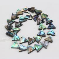 Abalone Shell Beads, Triangle, DIY, mixed colors, 13x15mm, Sold By PC