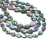 Abalone Shell Beads, Teardrop, DIY, mixed colors, Sold By PC