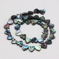 Perles coquillage d'ormeau, coquille d'ormeau, coeur, DIY, couleurs mélangées, 10mm, Vendu par PC