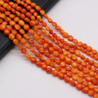 Perline di coralli naturale, Corallo, Button Shape, DIY, arancione, 5-7mm, Venduto per Appross. 38 cm filo