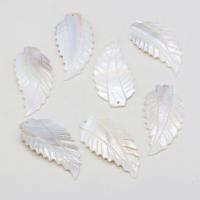 Shell Pendants, Freshwater Shell, Leaf, Carved, DIY, white, 28x57mm, Sold By PC