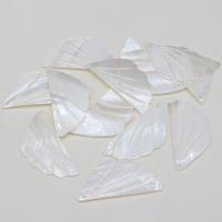 Shell Pendants, Freshwater Shell, Leaf, Carved, DIY, white, 23x47mm, Sold By PC