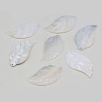 Pingentes de concha, concha de água doce, Folha, esculpidas, DIY, branco, 30x53mm, vendido por PC