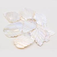 Pingentes de concha, concha de água doce, Folha, esculpidas, DIY, branco, 37x53mm, vendido por PC
