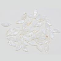 Pendentifs coquillage, coquille d'eau douce, feuille, DIY, blanc, 10x21mm, Vendu par PC