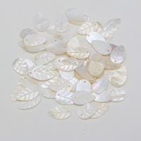Pingentes de concha, concha de água doce, Folha, esculpidas, DIY, branco, 11x22mm, vendido por PC