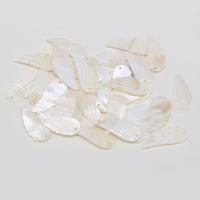 Μενταγιόν Shell, Γλυκού νερού Shell, Wing Shape, Σκαλιστή, DIY, λευκό, 15x35mm, Sold Με PC