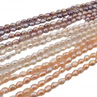 Cultured Potato Freshwater Pearl Beads Natural & fashion jewelry & DIY 7-8mm Approx 2.5mm Length 14.17-14.96 Inch Sold By PC