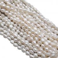 Kartoffel ferskvandskulturperle Beads, Ferskvandsperle, Naturligt & mode smykker & du kan DIY & forskellig størrelse for valg, hvid, Længde 15.35-15.75 inch, Solgt af PC