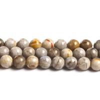 Silberblattjaspis Perle, rund, poliert, verschiedene Größen vorhanden, gemischte Farben, verkauft per ca. 14.6 ZollInch Strang