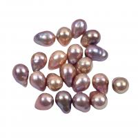 Cultured No Hole Freshwater Pearl Beads, Teardrop, DIY, mixed colors, 10x14mm, Sold By PC
