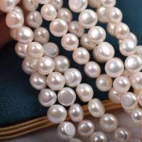 Perles nacres baroques de culture d'eau douce , perle d'eau douce cultivée, DIY, blanc, 8-8.5mm, Vendu par 38 cm brin