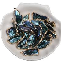 Μενταγιόν Μαργαριτάρι του γλυκού νερού, με Ορείχαλκος, μικτά χρώματα, 12-15mmx20-30mm, Sold Με PC