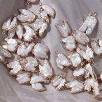 Pendentifs perles d'eau douce, perle d'eau douce cultivée, avec laiton, couleurs mélangées, 13-15mmx19-20mm, Vendu par PC