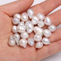 Perles nacres sans trou de culture d'eau douce, perle d'eau douce cultivée, Irrégulière, Naturel & DIY & aucun trou, blanc, 10-12mm, Vendu par PC