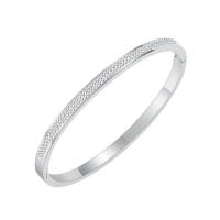 Stainless Steel Bangle plated fashion jewelry & micro pave cubic zirconia & for woman Sold By PC