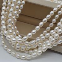 Perlas Arroz Freshwater, Perlas cultivadas de agua dulce, Bricolaje, Blanco, 8-9mm, Vendido para 36-39 cm Sarta