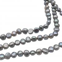Perlas Botón Freshwater , Perlas cultivadas de agua dulce, Bricolaje, gris, 8-9mm, Vendido para 36-39 cm Sarta
