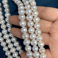 Runde ferskvandskulturperle Beads, Ferskvandsperle, du kan DIY, hvid, 9-10mm, Solgt Per 38 cm Strand