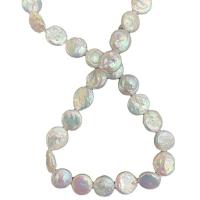 Coin Kulturan Slatkovodni Pearl perle, Krug, možete DIY, bijel, 11-12mm, Prodano Per 38 cm Strand