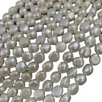 Tlačítko kultivované sladkovodní Pearl Beads, Kolo, DIY, bílý, 7-8mm, Prodáno za 38 cm Strand