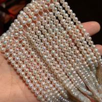 Runde ferskvandskulturperle Beads, Ferskvandsperle, du kan DIY, hvid, 5mm, Solgt Per 38 cm Strand