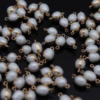 perle d'eau douce cultivée connecteur, avec laiton, Placage de couleur d'or, bijoux de mode & DIY, 8x16-10x18mm, Vendu par PC