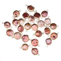 perla d'acquadolce coltivata naturalmente connettore, with ottone, Moneta, placcato color oro, gioielli di moda & DIY, 10x18-12x20mm, Venduto da PC