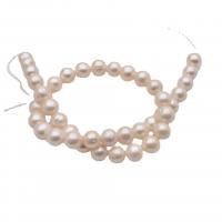 Runde ferskvandskulturperle Beads, Ferskvandsperle, du kan DIY, hvid, 10-11mm, Solgt Per 39-40 cm Strand