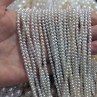 Perles de nacre rondes de culture d'eau douce, perle d'eau douce cultivée, DIY, blanc, Vendu par 36-38 cm brin