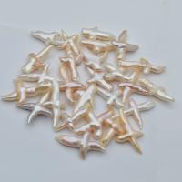 Koraliki z pereł hodowlanych słodkowodnych bez otworu, Perła naturalna słodkowodna, DIY, biały, 25-40mm, sprzedane przez PC
