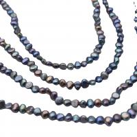 Keishi odlad sötvattenspärla pärlor, Freshwater Pearl, DIY, blandade färger, 3-4mm, Såld Per 36-39 cm Strand