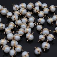 perle d'eau douce cultivée connecteur, avec laiton, Placage de couleur d'or, Naturel & bijoux de mode & DIY, 8x16-10x18mm, Vendu par PC