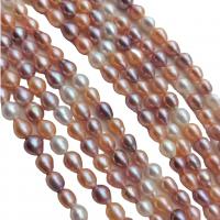 Keshi Cultured Freshwater Pearl Beads Teardrop DIY multi-colored 8-9mm Sold Per 38 cm Strand
