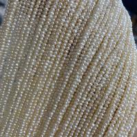 Perlas Keishi Cultivadas de Agua Dulce, Perlas cultivadas de agua dulce, Bricolaje, Blanco, 2.8-3.2mm, Vendido para 38 cm Sarta