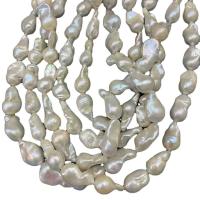 Perles nacres baroques de culture d'eau douce , perle d'eau douce cultivée, DIY, blanc, 10-12mm, Vendu par 40 cm brin