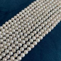 Runde ferskvandskulturperle Beads, Ferskvandsperle, du kan DIY, hvid, 5-6mm, Solgt Per 38 cm Strand
