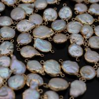 Sladkovodní Pearl Konektor, s Mosaz, barva pozlacený, Přírodní & módní šperky & DIY, 10x18-12x20mm, Prodáno By PC