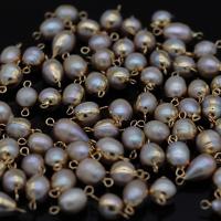 Freshwater Pearl Kontaktdon, med Mässing, Oval, guldfärg pläterade, Naturligt & mode smycken & DIY, 8x16-10x18mm, Säljs av PC