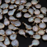 perle d'eau douce cultivée connecteur, avec laiton, Irrégulière, Placage de couleur d'or, Naturel & bijoux de mode & DIY, 10x15-12x18mm, Vendu par PC