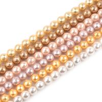 Natural Colored Shell Beads Shell Pearl Round plated DIY & faceted Sold Per 40 cm Strand