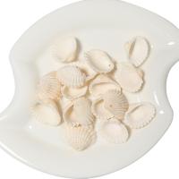 Shell Pendants, DIY, white, 15-19mm, 50PCs/Bag, Sold By Bag